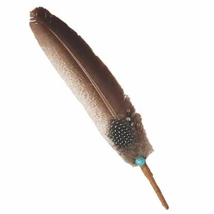 Turquoise Feather