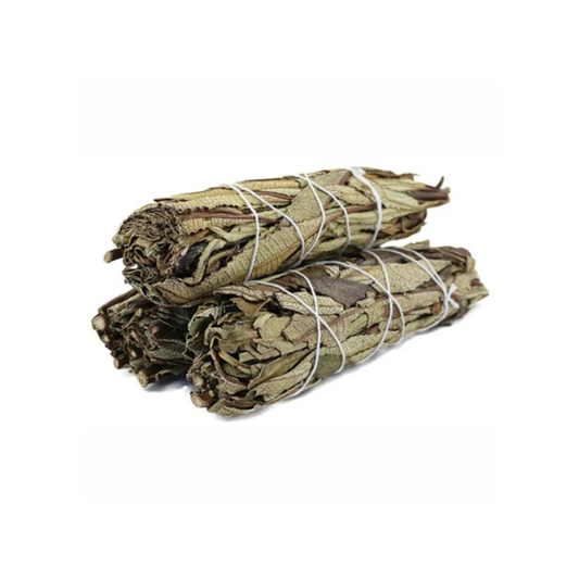 Yerba Santa Sage